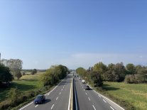 IMG_6949 Large.jpeg