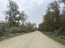 IMG_7065 Large.jpeg