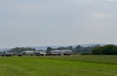 IMG_7099.jpeg