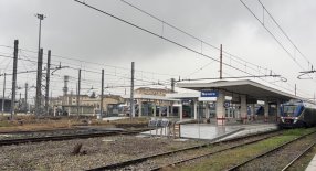 IMG_7157 Large.jpeg