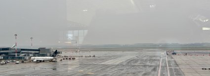 IMG_7195.jpeg