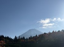 IMG_7662.jpeg