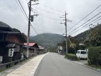 IMG_7697 Large.jpeg