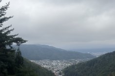 IMG_7704 Large.jpeg