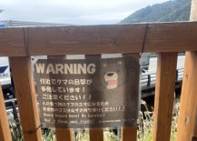 IMG_7705 Large.jpeg
