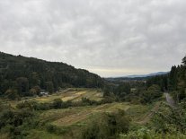 IMG_9201 Large.jpeg IMG_9201 Large.jpeg