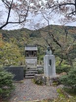 IMG_9212 Large.jpeg IMG_9212 Large.jpeg