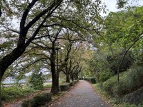 IMG_9229 Large.jpeg IMG_9229 Large.jpeg