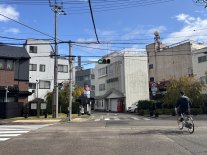 IMG_9329 Large.jpeg IMG_9329 Large.jpeg