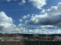 IMG_9373 Large.jpeg IMG_9373 Large.jpeg