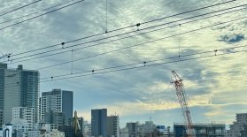 IMG_9394 Large.jpeg IMG_9394 Large.jpeg