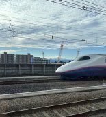 IMG_9396 Large.jpeg IMG_9396 Large.jpeg