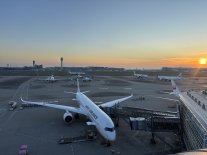 IMG_9706 Large.jpeg IMG_9706 Large.jpeg