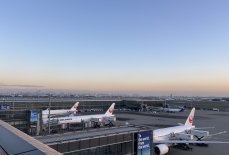 IMG_9709 Large.jpeg IMG_9709 Large.jpeg