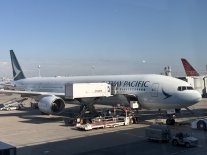 IMG_9725 Large.jpeg IMG_9725 Large.jpeg