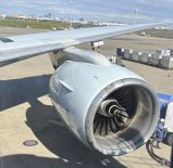 IMG_9731 Large.jpeg IMG_9731 Large.jpeg