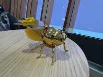 IMG_2632 Large.jpeg IMG_2632 Large.jpeg