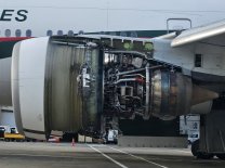 1000206869.jpg 1000206869.jpg