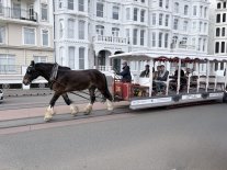 IMG_5363.jpeg