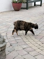 IMG_5502.jpeg