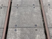 IMG_5391.jpeg IMG_5391.jpeg