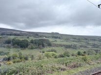 IMG_5397.jpeg IMG_5397.jpeg