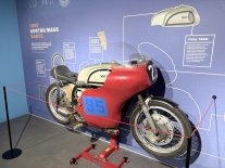 IMG_5342.jpeg IMG_5342.jpeg