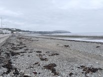 IMG_5361.jpeg IMG_5361.jpeg