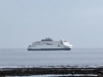 IMG_5362.jpeg IMG_5362.jpeg