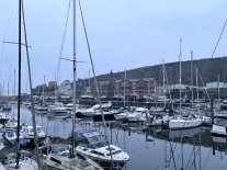 IMG_5442.jpeg IMG_5442.jpeg