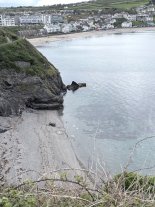 IMG_5481.jpeg IMG_5481.jpeg