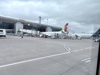 IMG_5538.jpeg IMG_5538.jpeg