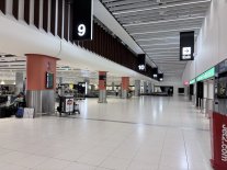 IMG_5540.jpeg IMG_5540.jpeg