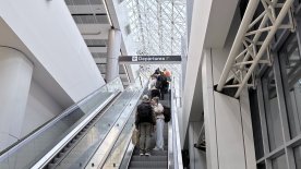 IMG_5542.jpeg IMG_5542.jpeg