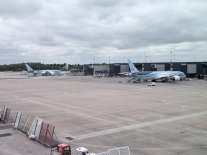 IMG_5547.jpeg IMG_5547.jpeg