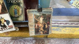 IMG_7379.JPEG