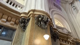 IMG_7530.JPEG