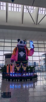 airport55.jpg