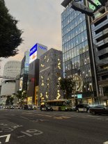 Ginza1.JPEG