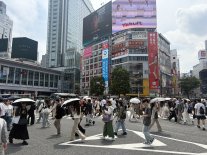 Shibuya.JPEG