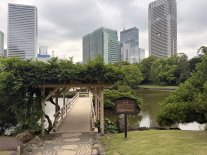Giardino di Hamarikyū.JPEG