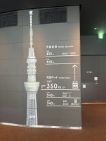 TokyoSkyTower2.JPEG