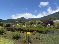 lagoKawaguchiko1.JPEG