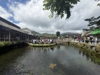 Nigori-ike Pond1.JPEG