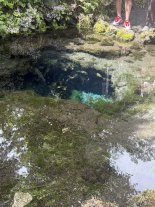 Nigori-ike Pond2.JPEG