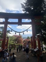 Arakurayama Sengen Park1.JPEG