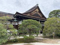 Kyoto Gyoen4.JPEG