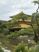 Kinkaku-ji 3.JPEG