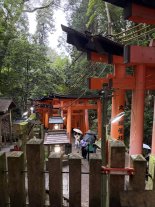 Fushimi Inari6.JPEG