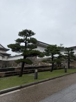 Osaka Castle.JPEG Osaka Castle.JPEG